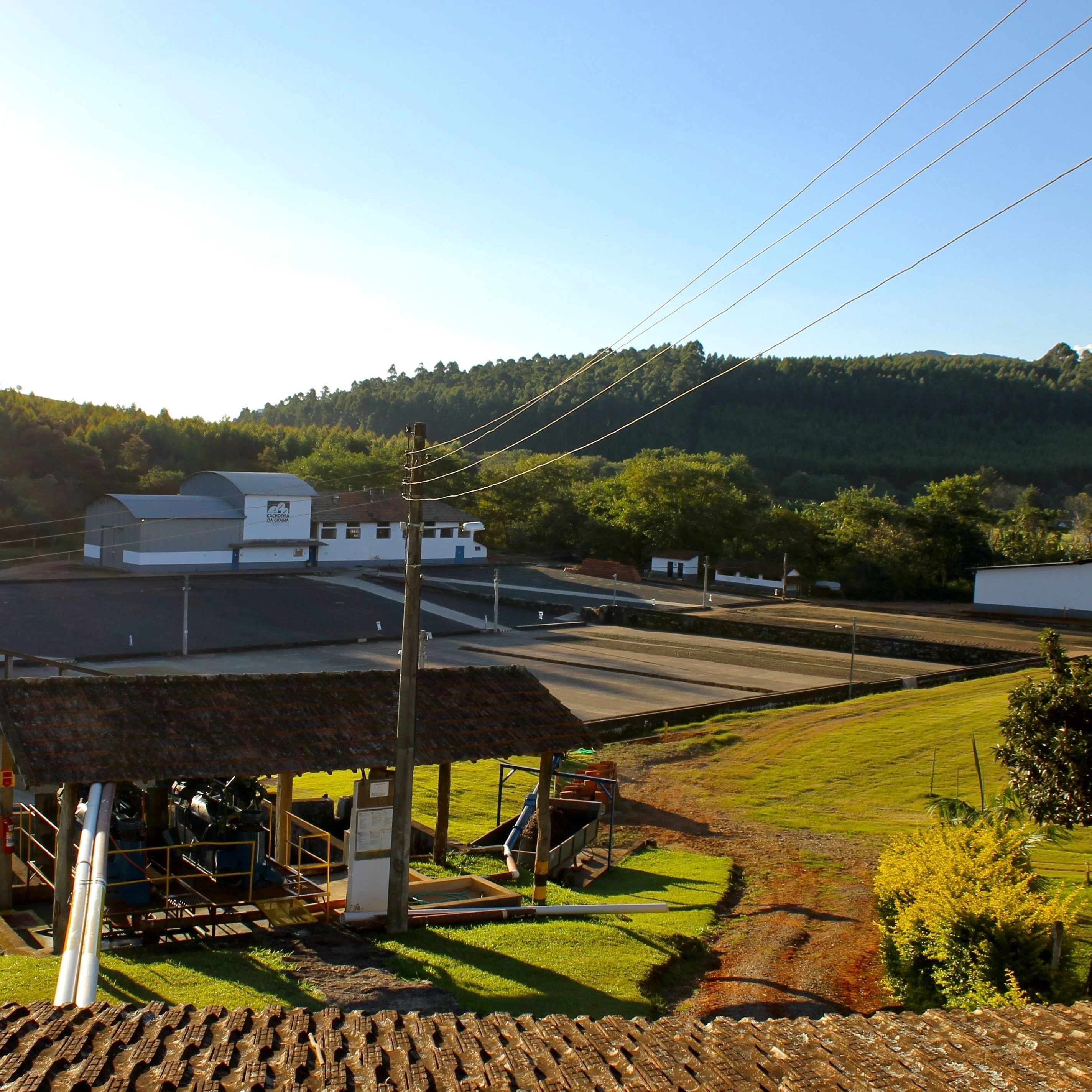 Brazil: Cachoeira da Grama, Yellow Bourbon, Natural - Image 4