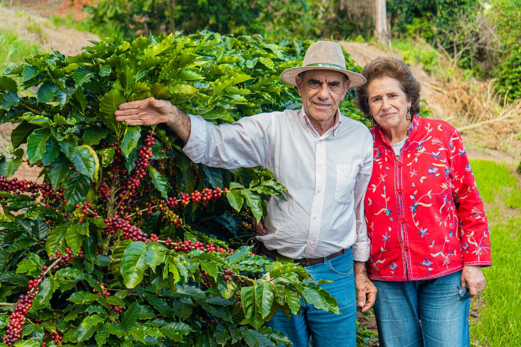 Brazil: Sítio Belém - Image 4