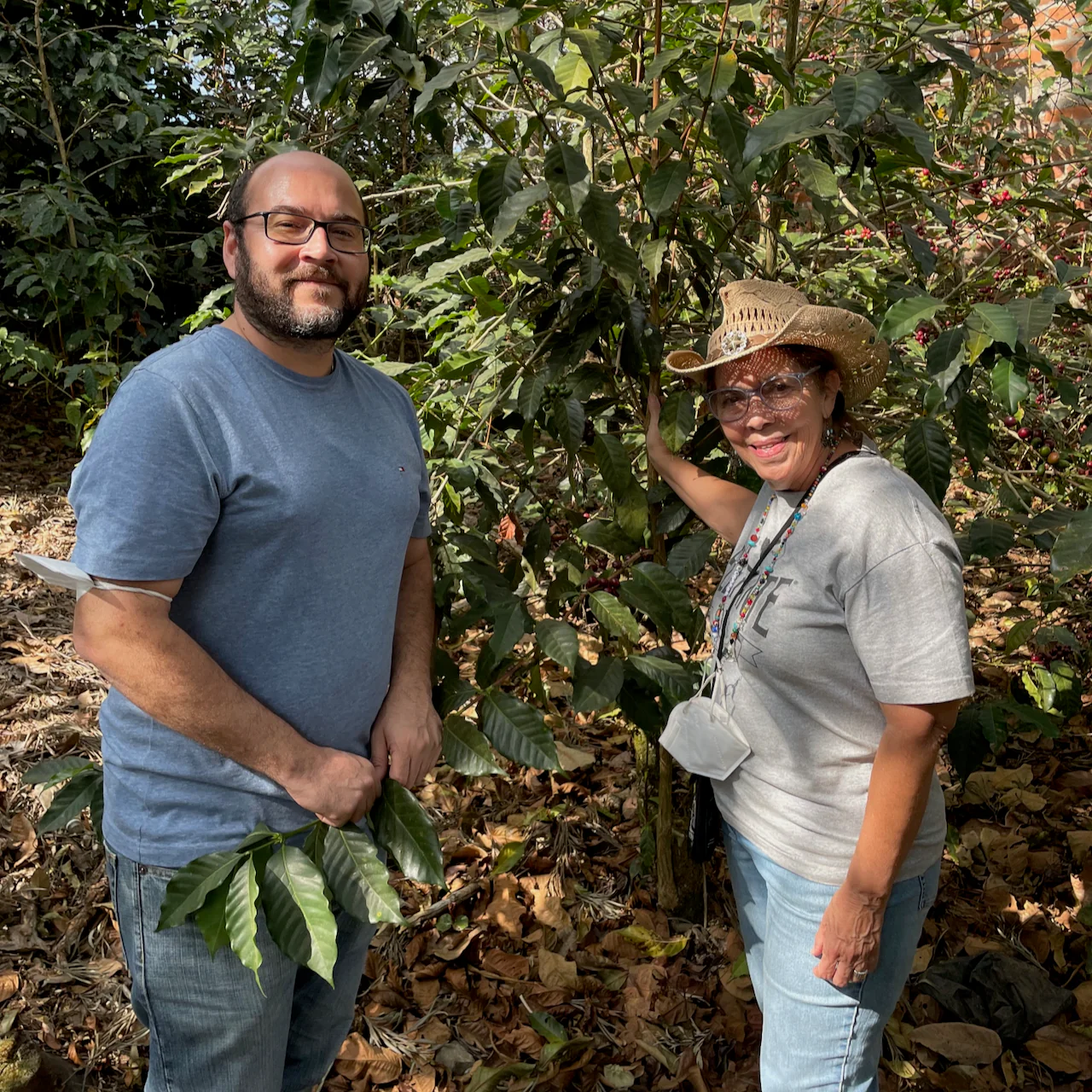 El Salvador: Finca San José, Red Bourbon - Image 2