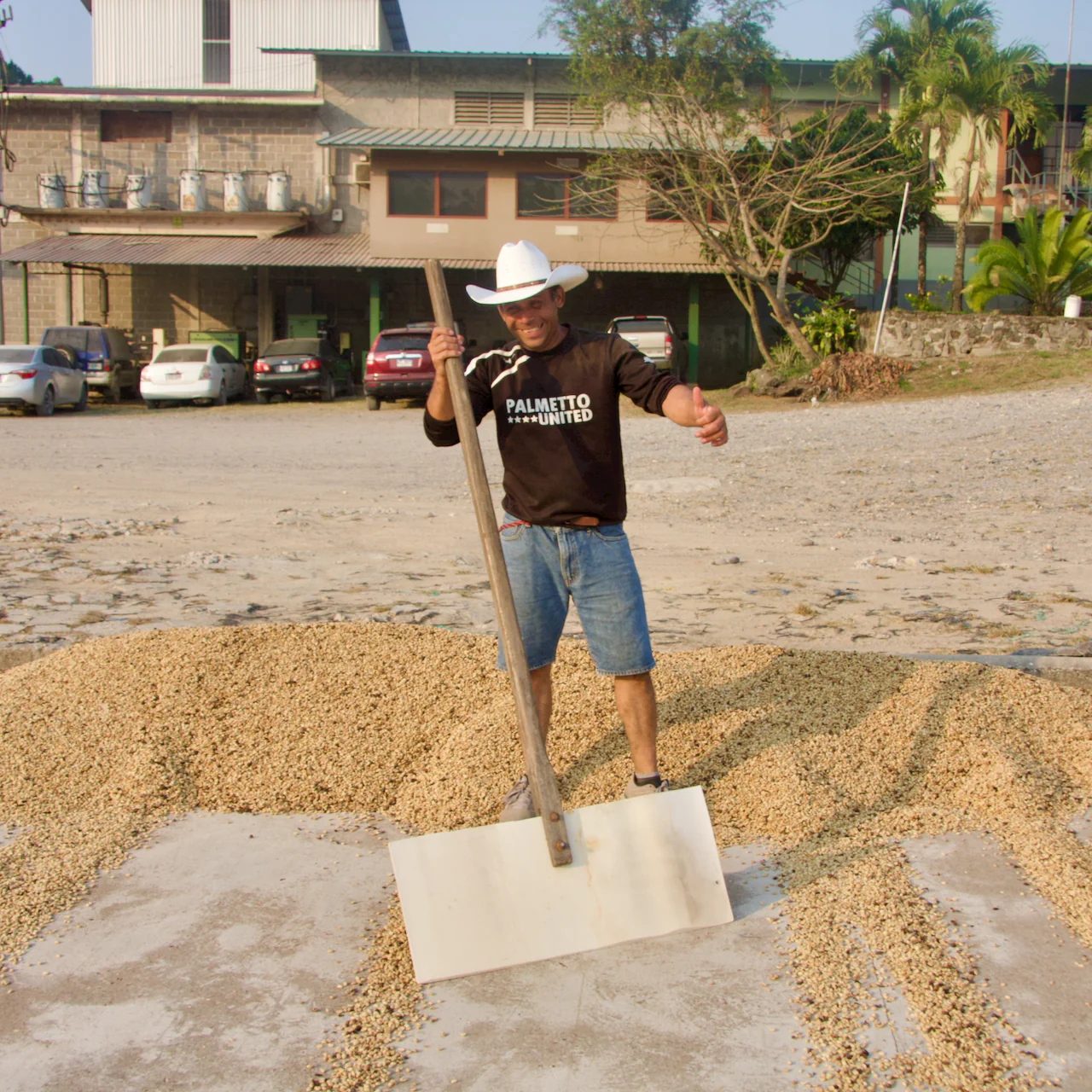 Honduras: La Alondra - January Pickings - Image 7